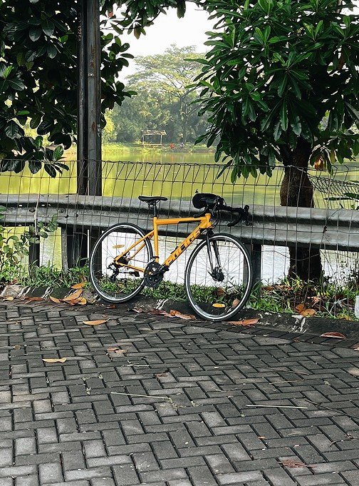 Road bike parked by a rice field